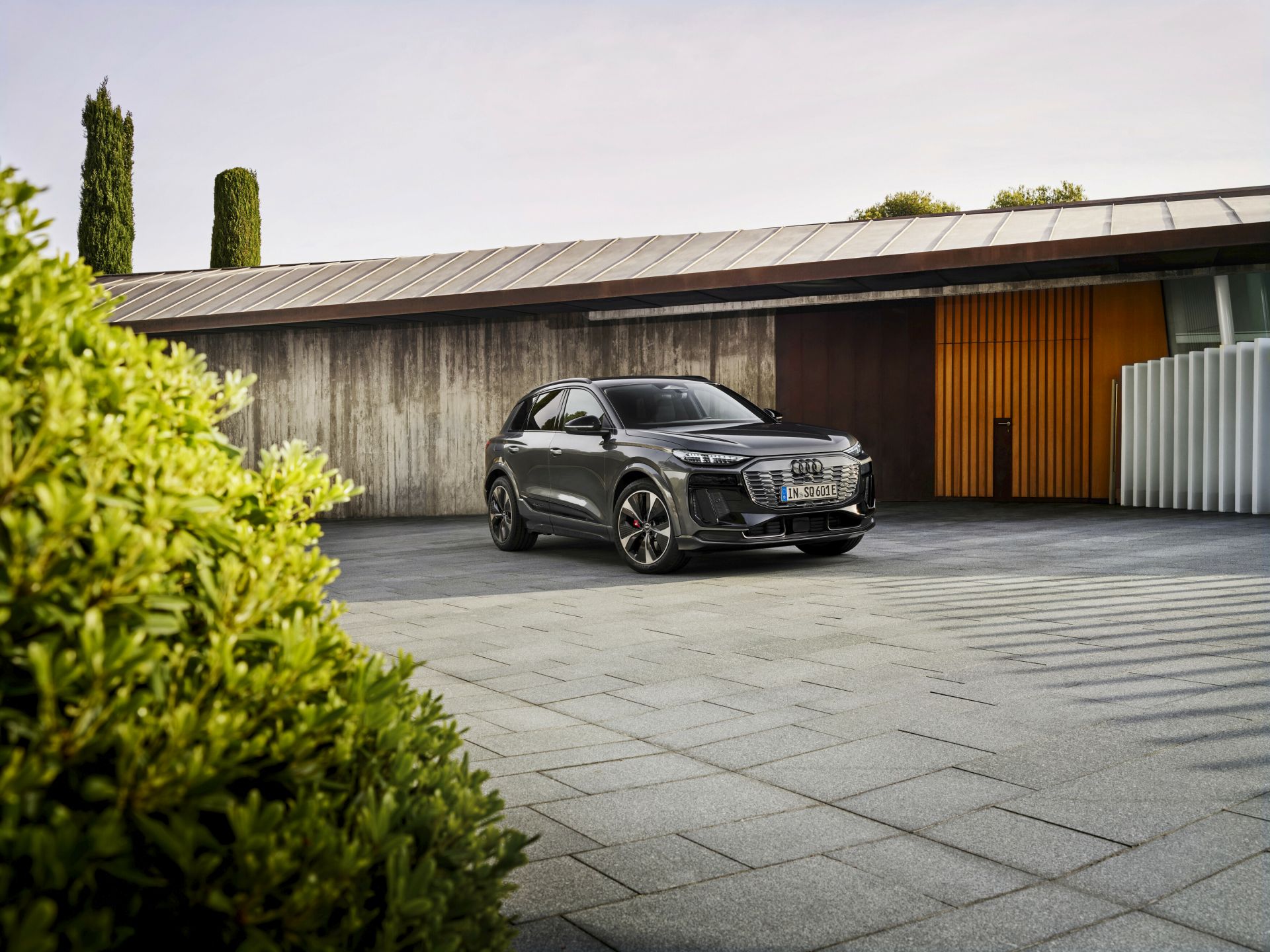 Audi Q6