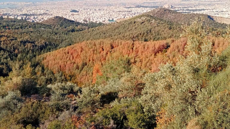 sok-xerainetai-o-ymittos-chanetai-o-teleftaios-pnevmonas-prasinou-stin-athina-757850